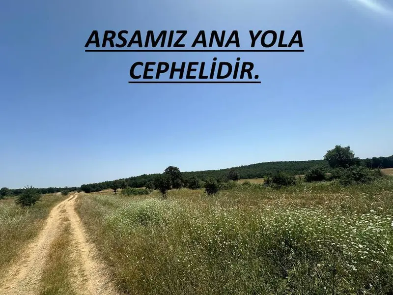 İlan Görseli https://cdn.ilanlar.com/images/l1/l2/{width}/{height}/30001394_1761026108169000536.jpg