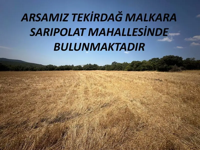 İlan Görseli https://cdn.ilanlar.com/images/l1/l2/{width}/{height}/30001533_1762946831123220794.jpg