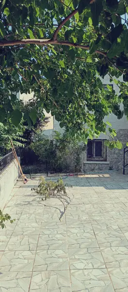 İlan Görseli https://cdn.ilanlar.com/images/l1/l2/30001616_1754559436058106960.jpg?mode=pad&bgcolor=F8FAFB