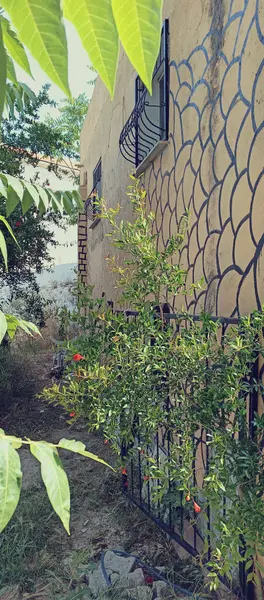 İlan Görseli https://cdn.ilanlar.com/images/l1/l2/30001616_1754559451358582465.jpg?mode=pad&bgcolor=F8FAFB