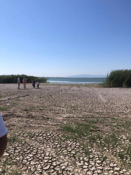 İlan Görseli https://cdn.ilanlar.com/images/l1/l2/30001662_1755029339715509394.jpg?mode=pad&bgcolor=F8FAFB