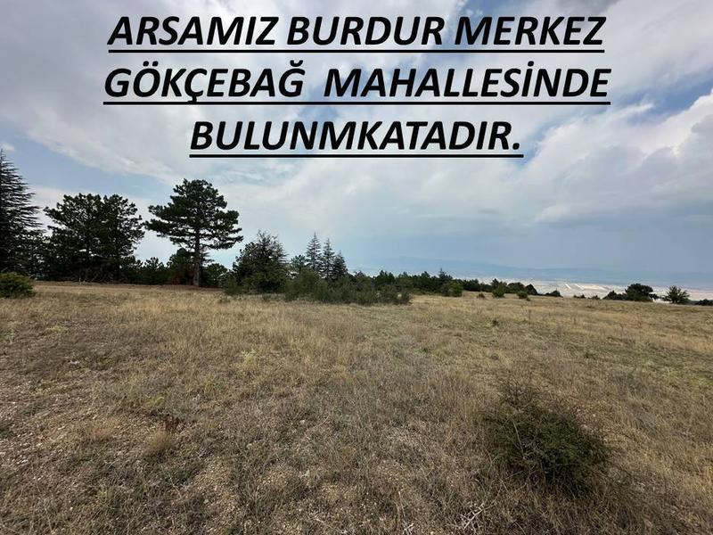 İlan Görseli https://cdn.ilanlar.com/images/l1/l2/{width}/{height}/30001669_1760762942006616115.jpg