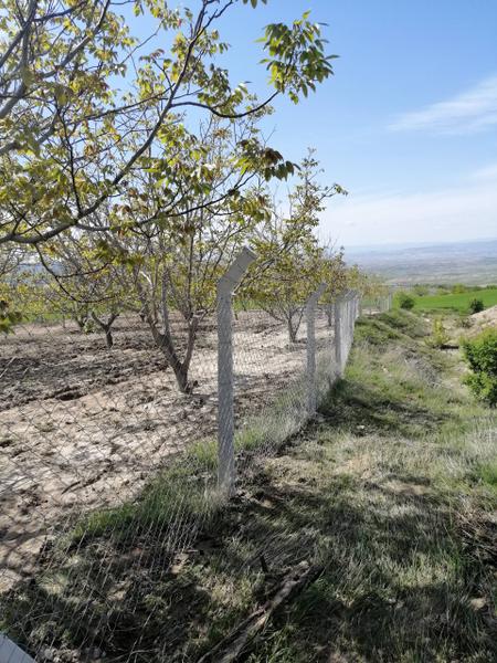 İlan Görseli https://cdn.ilanlar.com/images/l1/l2/30001866_1755030970277206845.jpg?mode=pad&bgcolor=F8FAFB