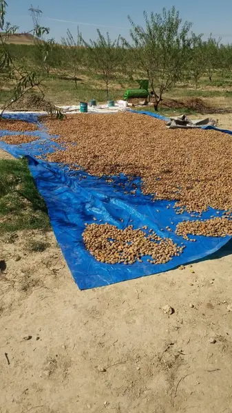 İlan Görseli https://cdn.ilanlar.com/images/l1/l2/30001949_1755198957832884866.jpg?mode=pad&bgcolor=F8FAFB