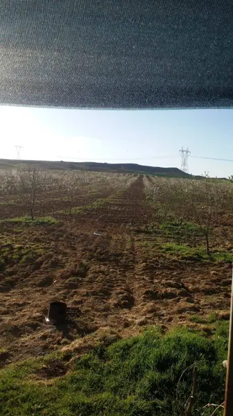 İlan Görseli https://cdn.ilanlar.com/images/l1/l2/30001949_1755198958641888809.jpg?mode=pad&bgcolor=F8FAFB