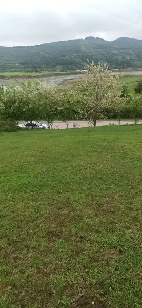 İlan Görseli https://cdn.ilanlar.com/images/l1/l2/30002032_1755417842611666882.jpg?mode=pad&bgcolor=F8FAFB