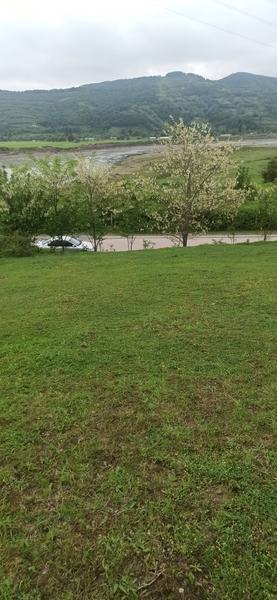 İlan Görseli https://cdn.ilanlar.com/images/l1/l2/30002032_1755417842611666882.jpg?mode=pad&bgcolor=F8FAFB