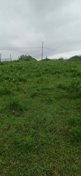 İlan Görseli https://cdn.ilanlar.com/images/l1/l2/30002032_1755417849678651078.jpg?mode=pad&bgcolor=F8FAFB