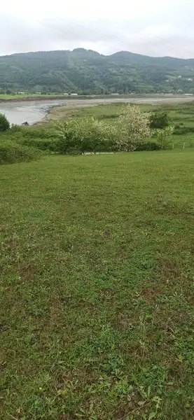 İlan Görseli https://cdn.ilanlar.com/images/l1/l2/30002032_1755417855856468884.jpg?mode=pad&bgcolor=F8FAFB