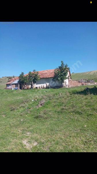 https://cdn.ilanlar.com/images/l1/l2/{width}/{height}/30002081_1755522492752174416.jpg