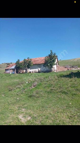 İlan Görseli https://cdn.ilanlar.com/images/l1/l2/{width}/{height}/30002081_1755522494261588243.jpg