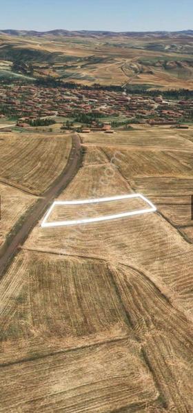 İlan Görseli https://cdn.ilanlar.com/images/l1/l2/30002274_1756119778863287407.jpg?mode=pad&bgcolor=F8FAFB