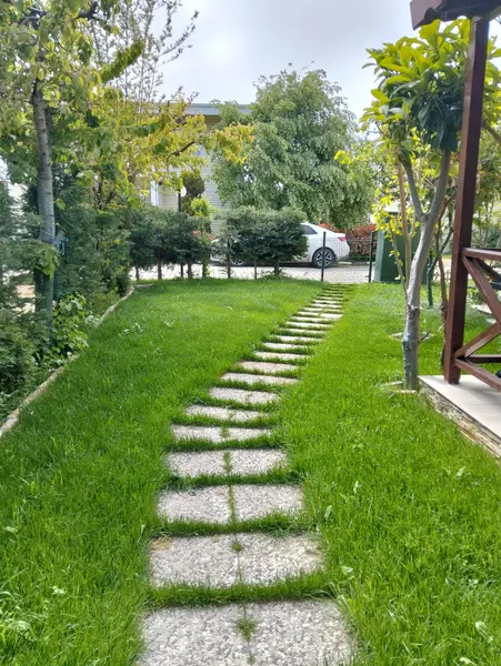 İlan Görseli https://cdn.ilanlar.com/images/l1/l2/30002342_1756295141176903410.jpg?mode=pad&bgcolor=F8FAFB