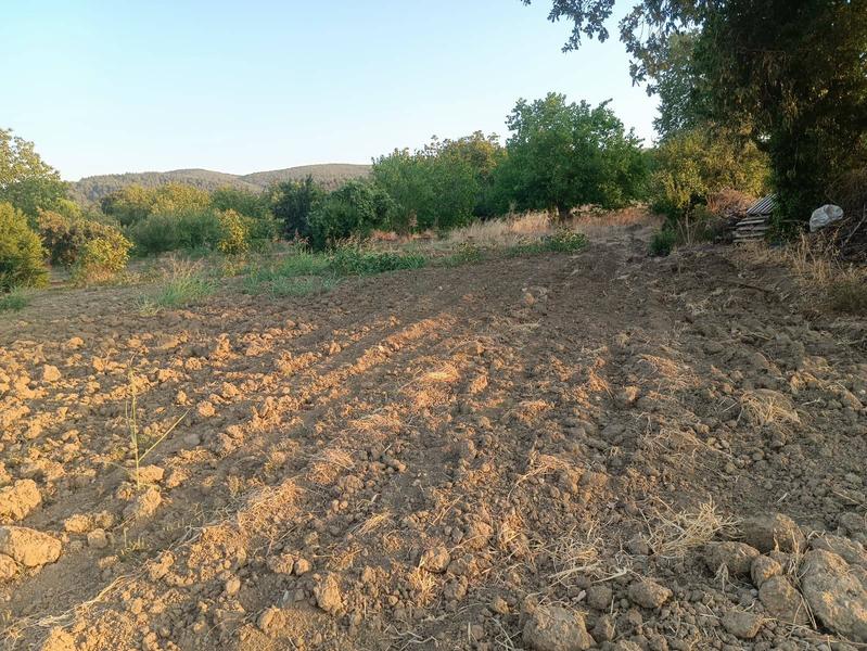 İlan Görseli https://cdn.ilanlar.com/images/l1/l2/{width}/{height}/30002591_1756803647979165885.jpg