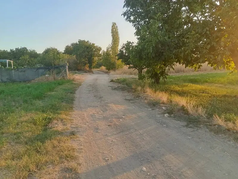 İlan Görseli https://cdn.ilanlar.com/images/l1/l2/{width}/{height}/30002591_1756803655990601841.jpg