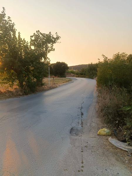 İlan Görseli https://cdn.ilanlar.com/images/l1/l2/{width}/{height}/30002591_1756803658841593673.jpg