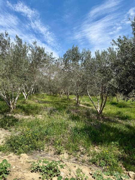 İlan Görseli https://cdn.ilanlar.com/images/l1/l2/30002819_1757076366629461768.jpg?mode=pad&bgcolor=F8FAFB