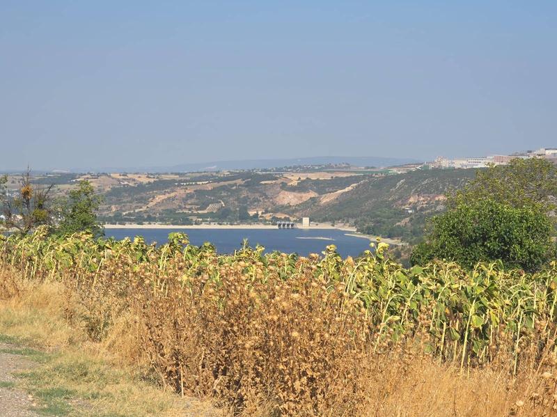 İlan Görseli https://cdn.ilanlar.com/images/l1/l2/{width}/{height}/30002832_1757106993540688620.jpg