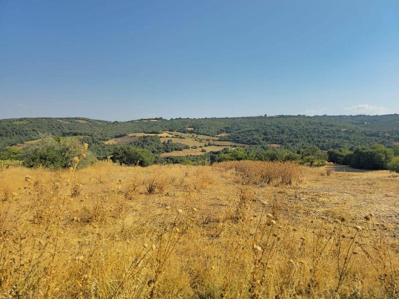 İlan Görseli https://cdn.ilanlar.com/images/l1/l2/{width}/{height}/30002832_1757106994220985908.jpg