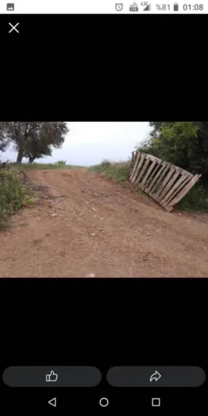 İlan Görseli https://cdn.ilanlar.com/images/l1/l2/30002954_1757273177121740016.jpg?mode=pad&bgcolor=F8FAFB