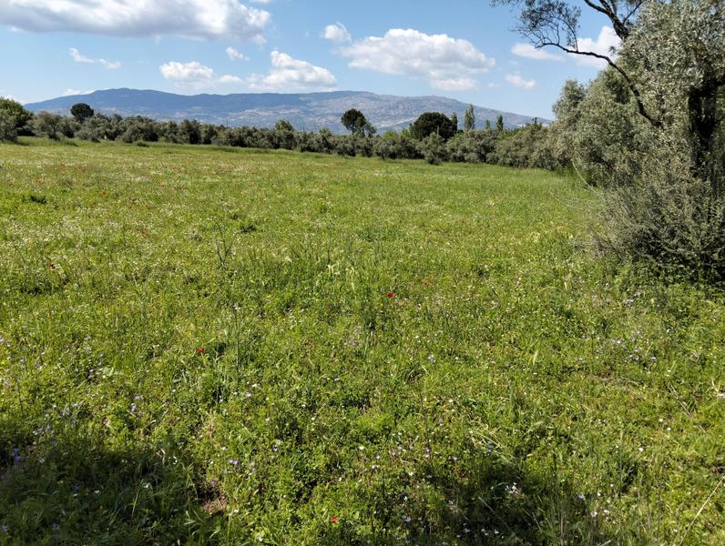 İlan Görseli https://cdn.ilanlar.com/images/l1/l2/30003143_1757632234562131575.jpg?mode=pad&bgcolor=F8FAFB