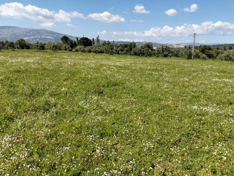 İlan Görseli https://cdn.ilanlar.com/images/l1/l2/30003143_1757632243652664879.jpg?mode=pad&bgcolor=F8FAFB