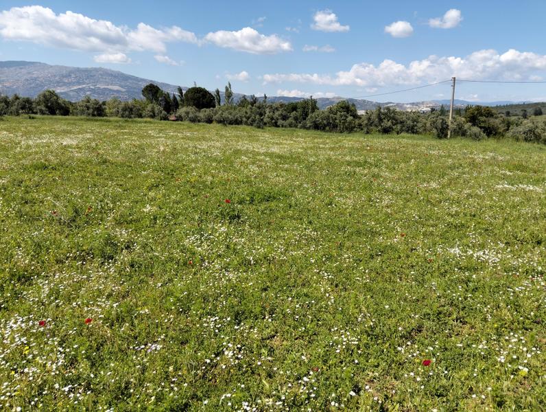 İlan Görseli https://cdn.ilanlar.com/images/l1/l2/30003143_1757632243652664879.jpg?mode=pad&bgcolor=F8FAFB