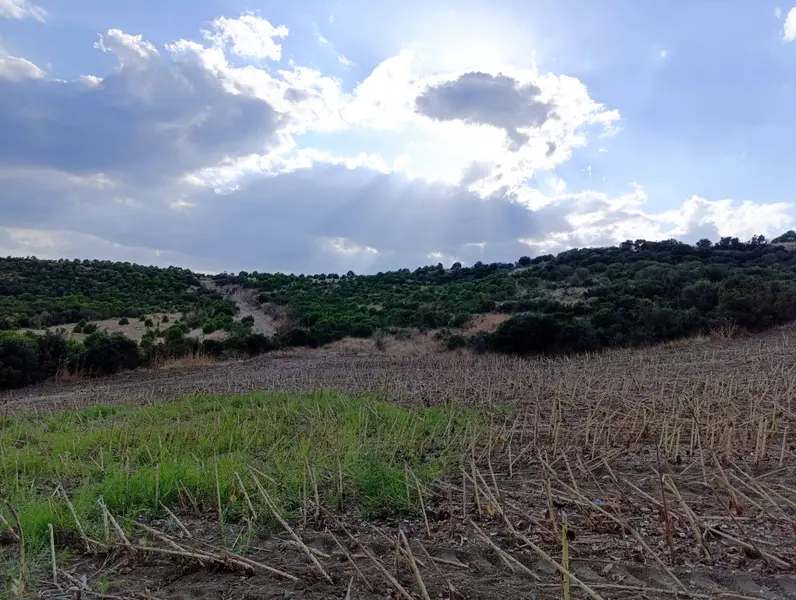 İlan Görseli https://cdn.ilanlar.com/images/l1/l2/{width}/{height}/30003246_1757878606856873920.jpg