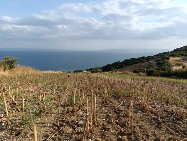 İlan Görseli https://cdn.ilanlar.com/images/l1/l2/{width}/{height}/30003246_1757878610078250883.jpg