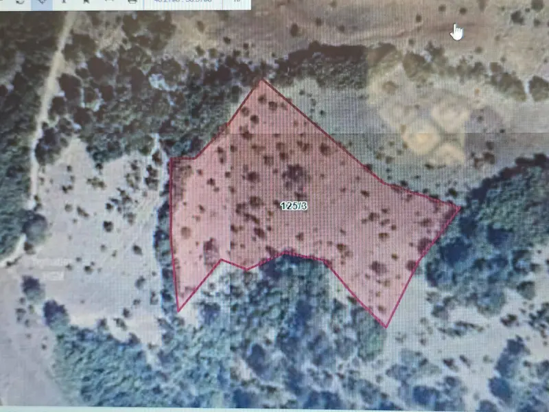 İlan Görseli https://cdn.ilanlar.com/images/l1/l2/{width}/{height}/30003309_1758012960418024783.jpg