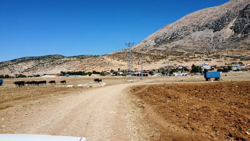 İlan Görseli https://cdn.ilanlar.com/images/l1/l2/{width}/{height}/30003499_1758403214497136685.jpg