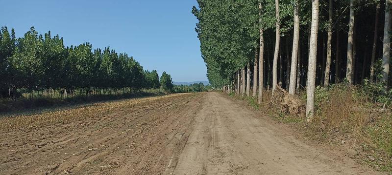 İlan Görseli https://cdn.ilanlar.com/images/l1/l2/{width}/{height}/30003603_1758760590834911157.jpg