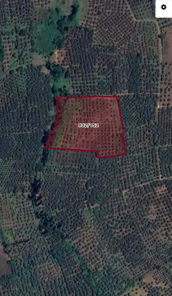 İlan Görseli https://cdn.ilanlar.com/images/l1/l2/{width}/{height}/30003767_1759131873817716301.jpg