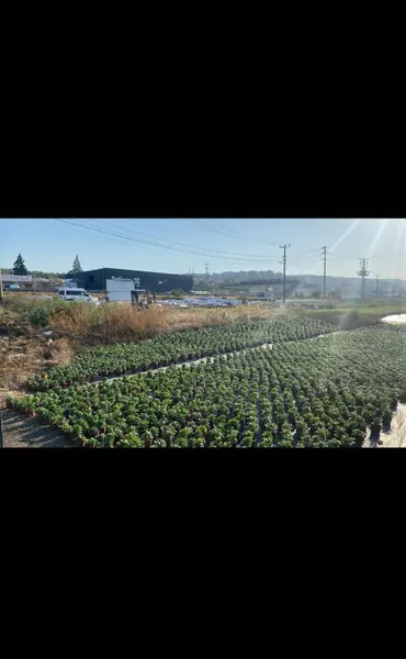 İlan Görseli https://cdn.ilanlar.com/images/l1/l2/{width}/{height}/30003773_1759134398612121912.jpg