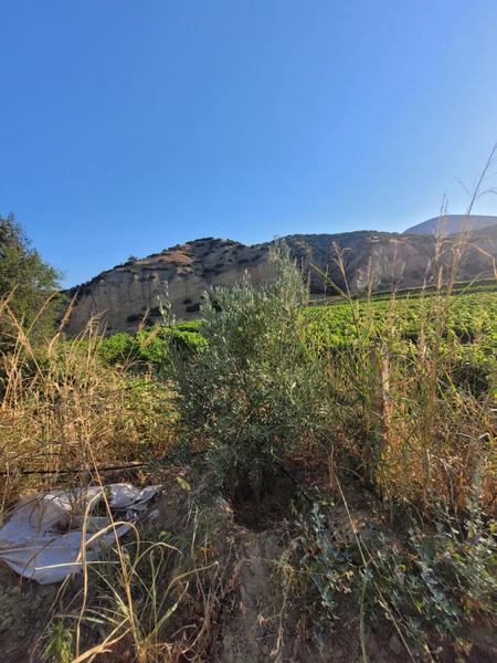 İlan Görseli https://cdn.ilanlar.com/images/l1/l2/{width}/{height}/30003992_1759648960780710873.jpg