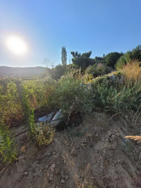 İlan Görseli https://cdn.ilanlar.com/images/l1/l2/{width}/{height}/30003992_1759648970107321239.jpg