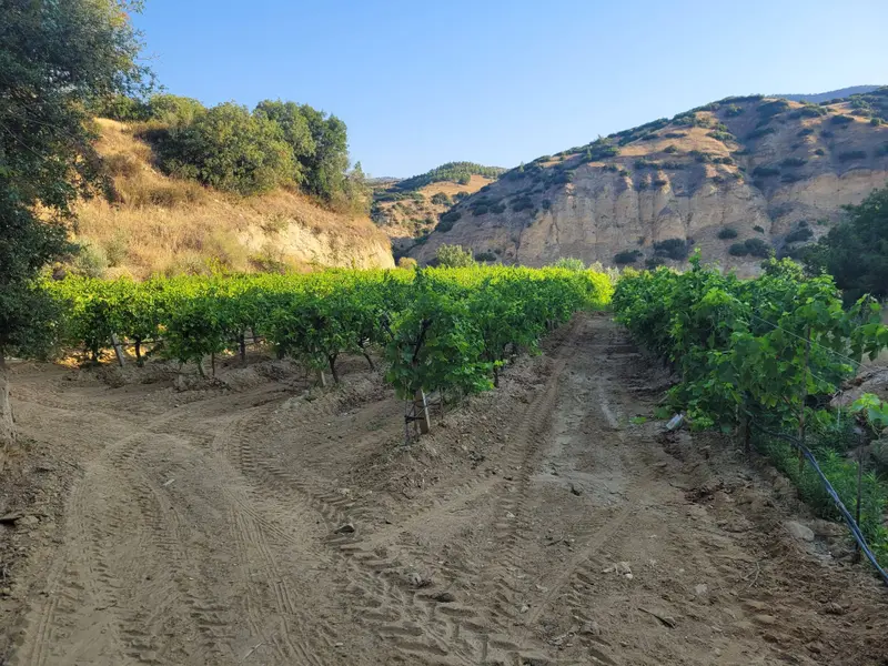 İlan Görseli https://cdn.ilanlar.com/images/l1/l2/{width}/{height}/30003993_1759649263019109330.jpg