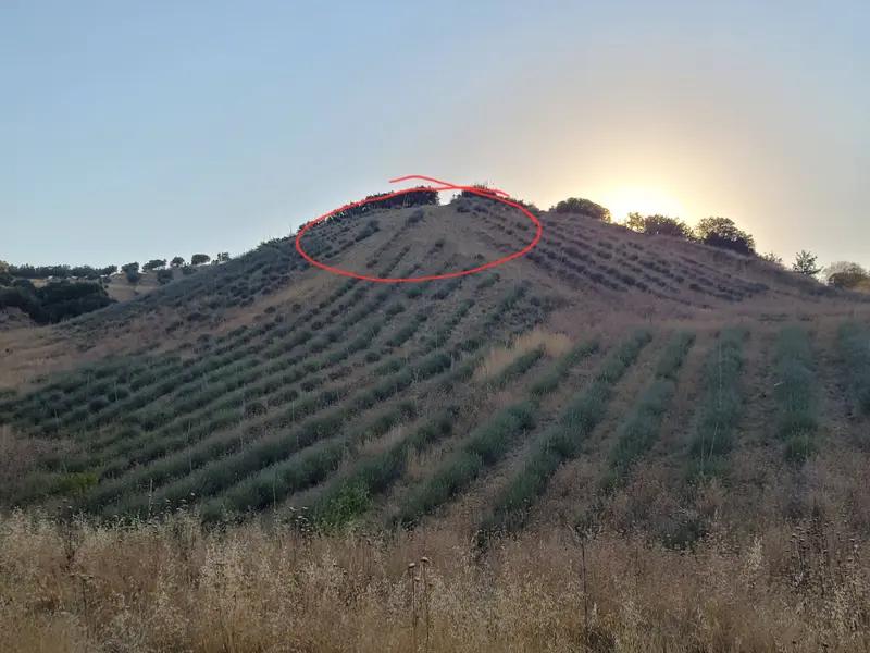 İlan Görseli https://cdn.ilanlar.com/images/l1/l2/{width}/{height}/30003995_1759649663202641100.jpg