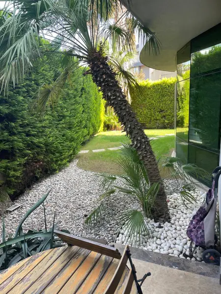 İlan Görseli https://cdn.ilanlar.com/images/l1/l2/{width}/{height}/30004029_1759747134161239648.jpg