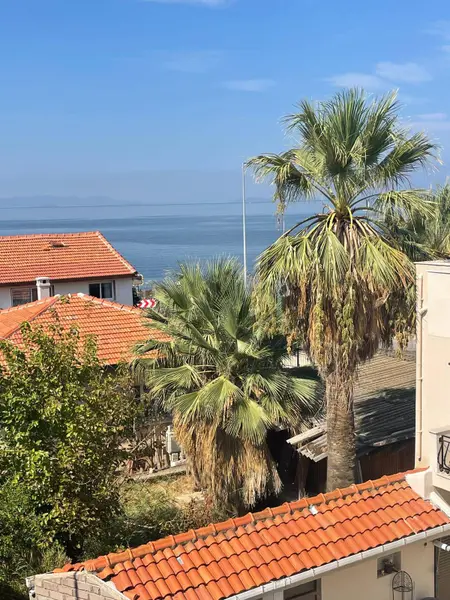 İlan Görseli https://cdn.ilanlar.com/images/l1/l2/{width}/{height}/30004029_1759747134895901205.jpg