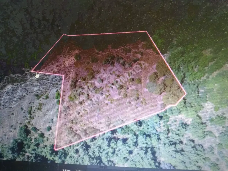 İlan Görseli https://cdn.ilanlar.com/images/l1/l2/{width}/{height}/30004163_1759937250834958964.jpg