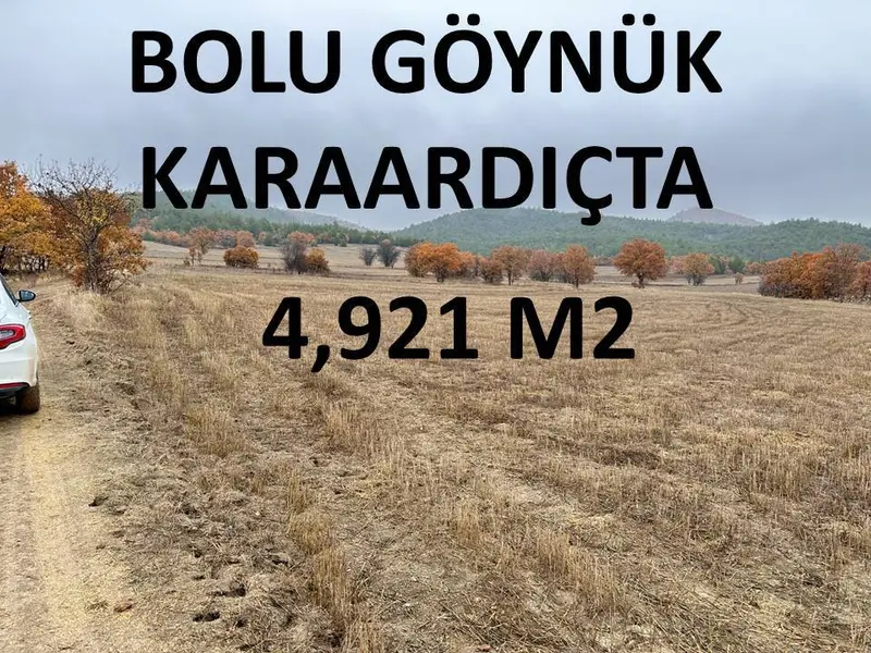 İlan Görseli https://cdn.ilanlar.com/images/l1/l2/{width}/{height}/30004478_1760623825136444272.jpg