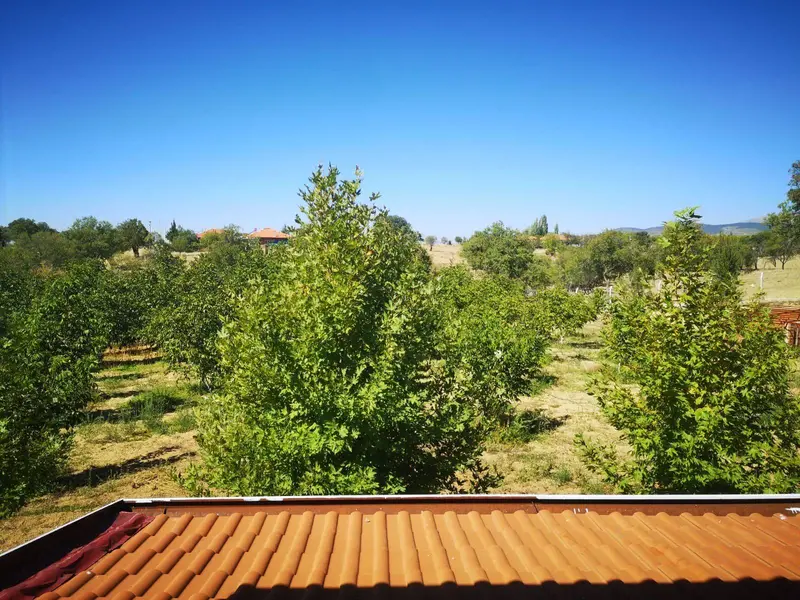 İlan Görseli https://cdn.ilanlar.com/images/l1/l2/{width}/{height}/30004489_1760640762772132436.jpg