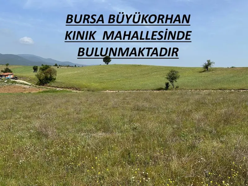 İlan Görseli https://cdn.ilanlar.com/images/l1/l2/{width}/{height}/30004536_1760764748910869776.jpg