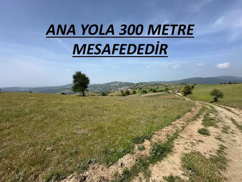 İlan Görseli https://cdn.ilanlar.com/images/l1/l2/{width}/{height}/30004536_1760764749712187640.jpg