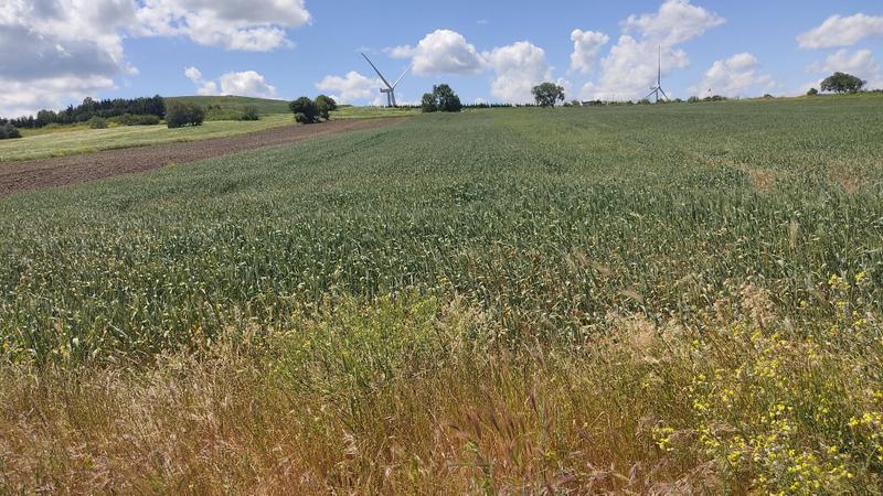 İlan Görseli https://cdn.ilanlar.com/images/l1/l2/{width}/{height}/30004640_1760965525913544088.jpg