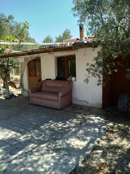 İlan Görseli https://cdn.ilanlar.com/images/l1/l2/{width}/{height}/30004792_1761216086799509659.jpg