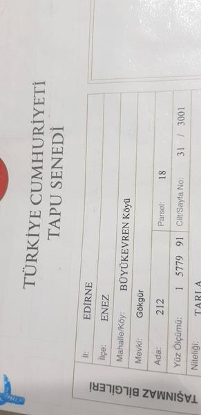 İlan Görseli https://cdn.ilanlar.com/images/l1/l2/{width}/{height}/30004895_1761503411164855706.jpg