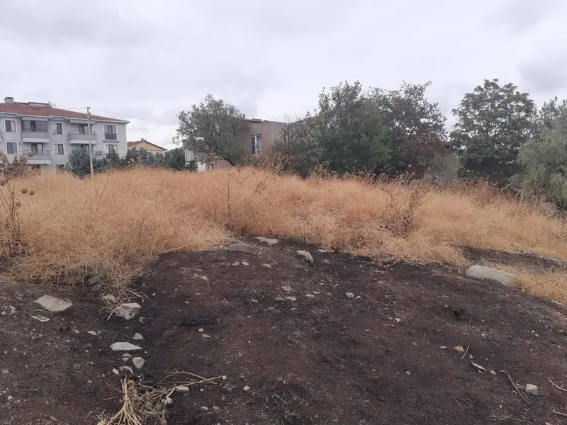 İlan Görseli https://cdn.ilanlar.com/images/l1/l2/{width}/{height}/30004897_1761503985749290908.jpg