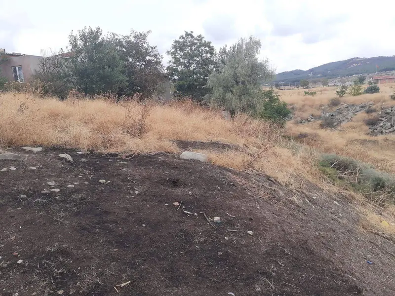 İlan Görseli https://cdn.ilanlar.com/images/l1/l2/{width}/{height}/30004897_1761503986390301160.jpg